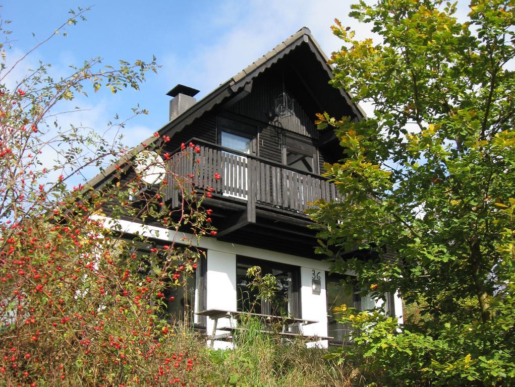 Villa Frankenau 36 Exterior foto